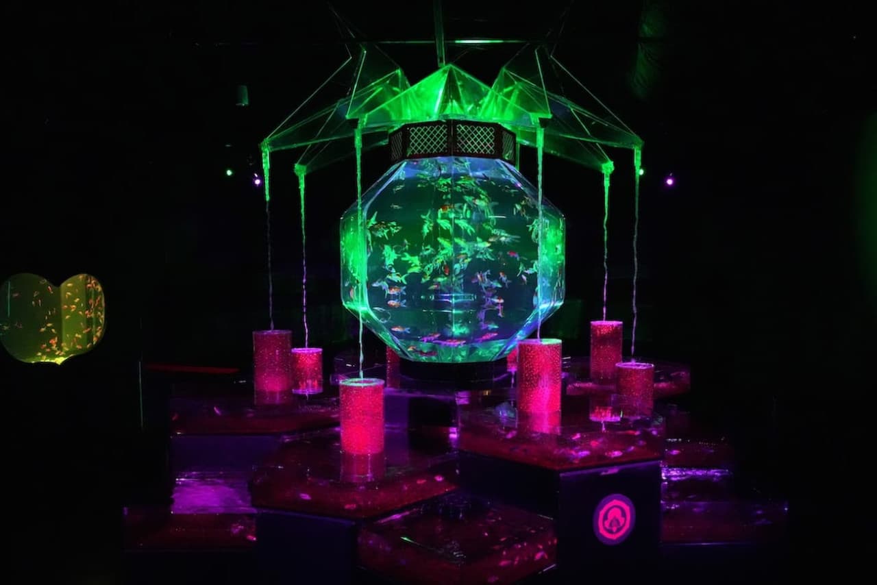 Art Aquarium Museum GINZA Ticket - image 5